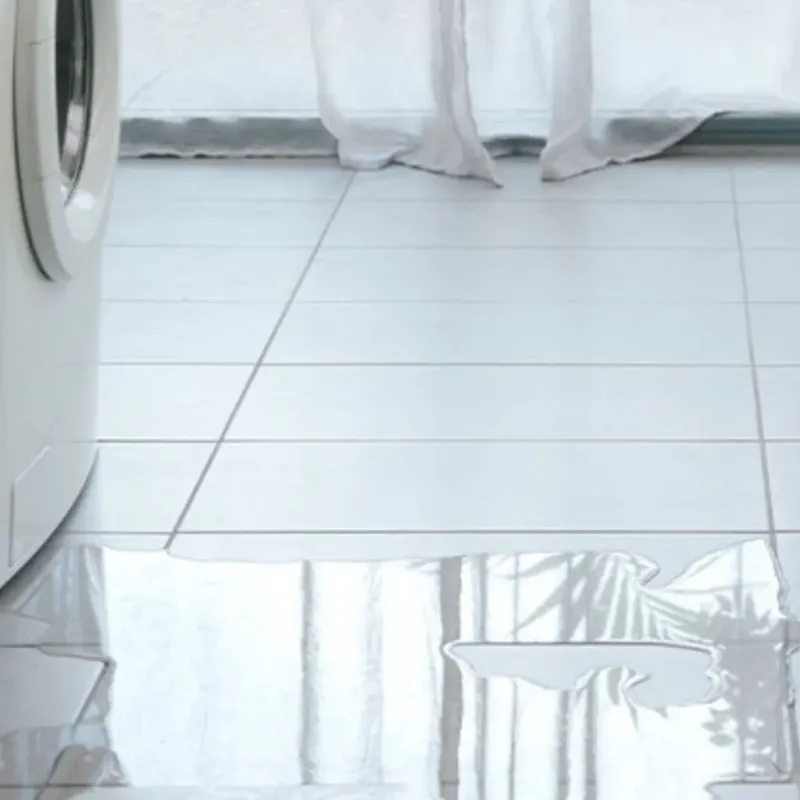 Appliance Leak Cleanup in Tool, TX