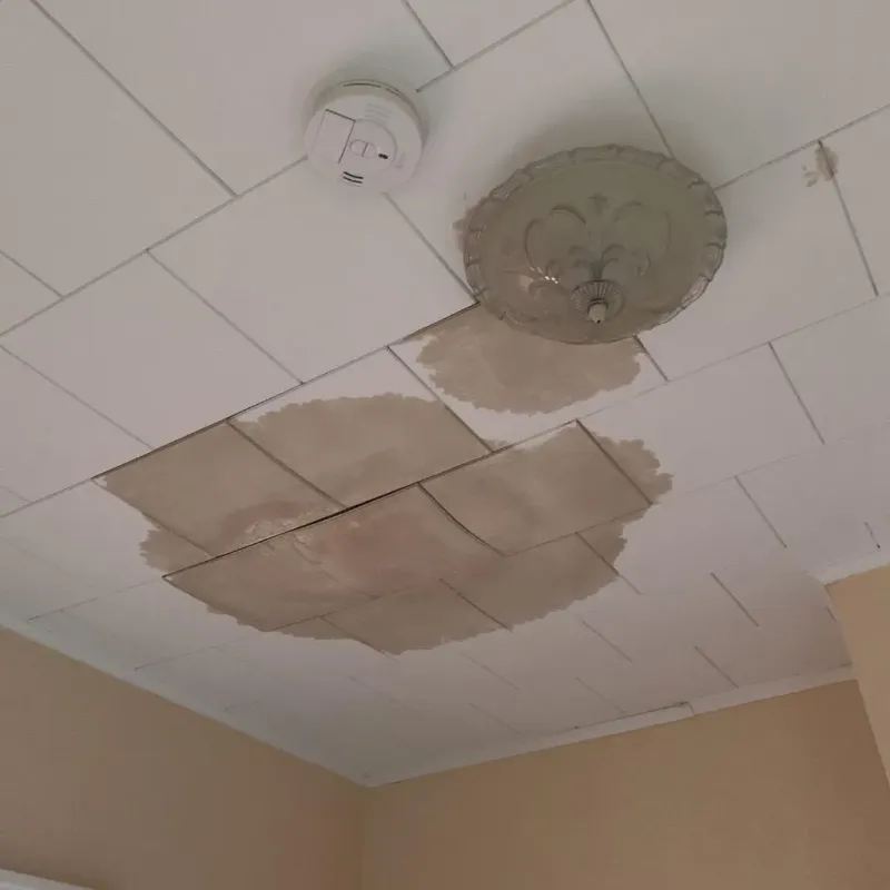 Ceiling Water Damage Repair in Tool, TX
