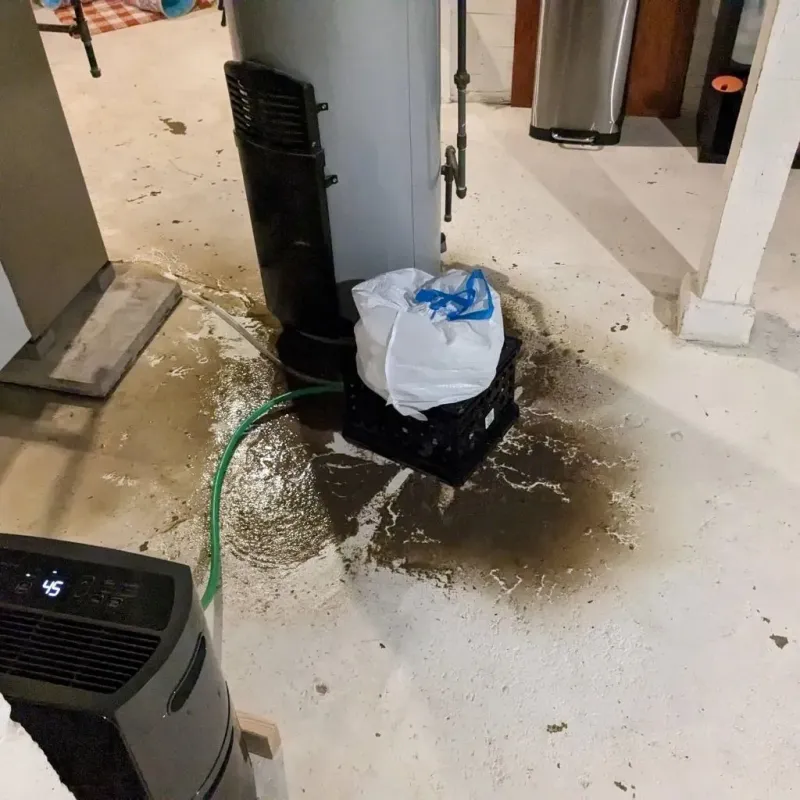 Sewage Backup Cleanup Service in Tool, TX